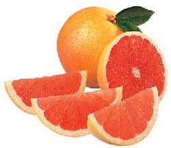 grapefruit diet